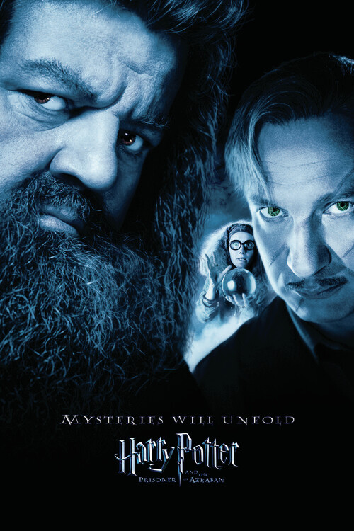 Плакат Harry Potter - Hagrid & Lupin