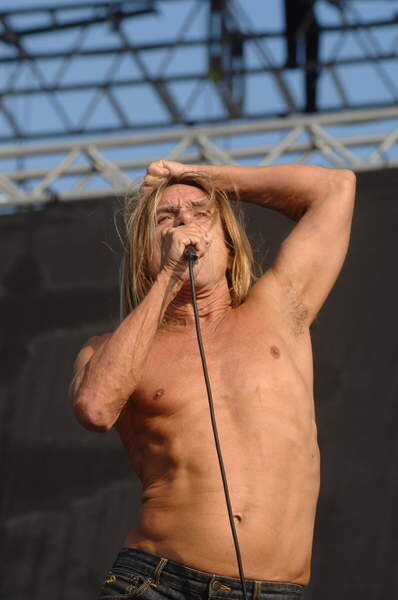 Плакат Venice 06/20/2008 THE ROCK SINGER IGGY POP and THE STOOGES