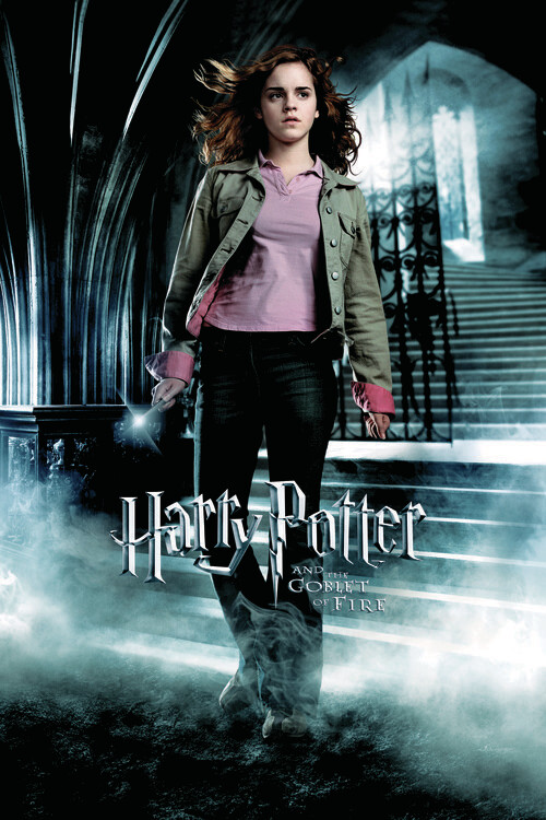 Принти на полотні Harry Potter and the Goblet of Fire - Hermione
