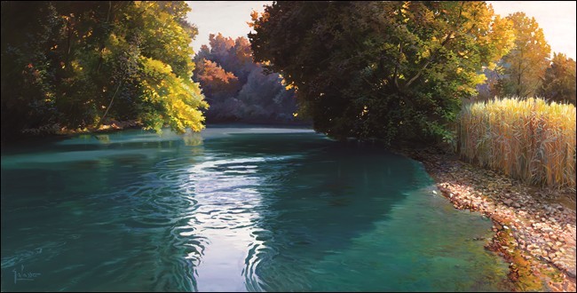 Fiume Stella Картина