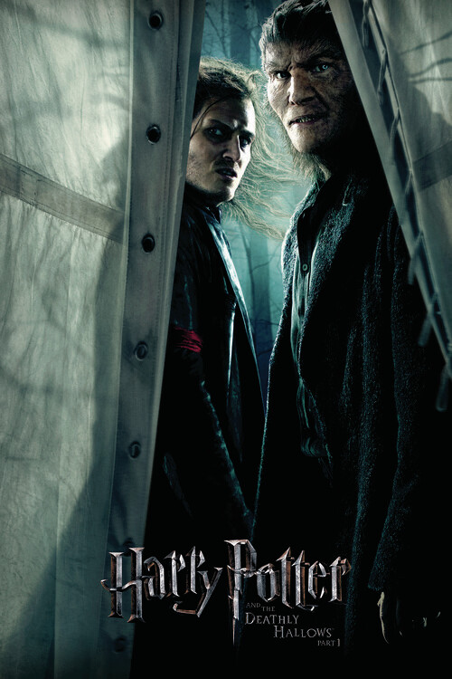 Наклейка Harry Potter - Snatchers
