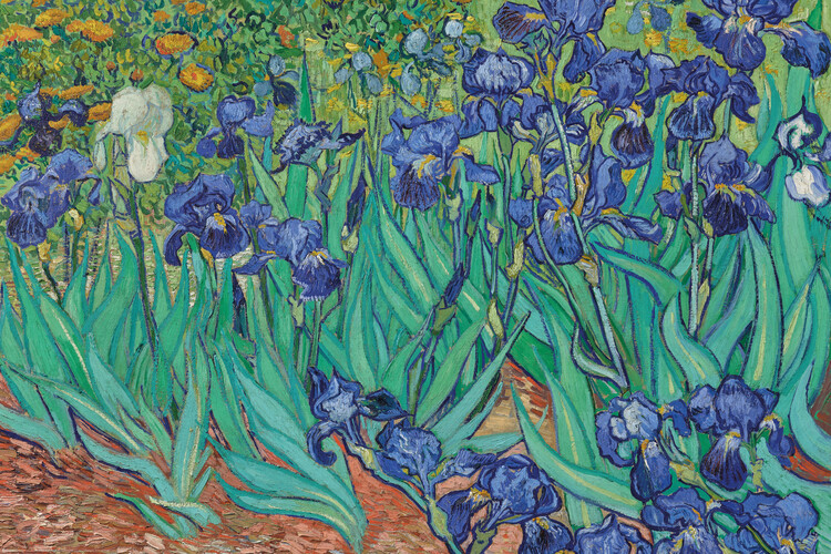Плакат Vincent van Gogh - Les Irises