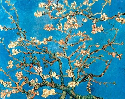 Πλαισιωμένη αφίσα Almond Blossom
