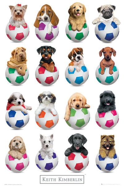 Плакат Keith Kimberlin - Puppies Footballs
