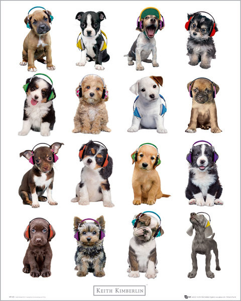Плакат Keith Kimberlin - Puppies Headphones