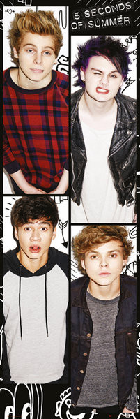 Αφίσα πόρτας 5 Seconds Of Summer - Band