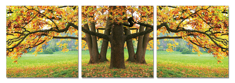 LANDSCAPE - Tree in autumn Mounted Art Print