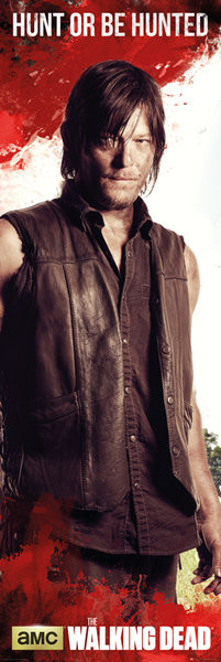 Плакат The Walking Dead - Daryl