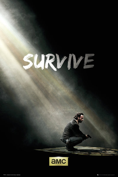 Πλαισιωμένη αφίσα The Walking Dead - Survive