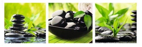 Kehystetty juliste Wellness