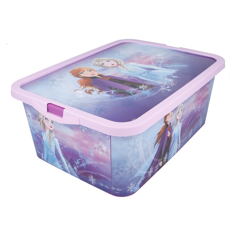 Storage Box Frozen 2