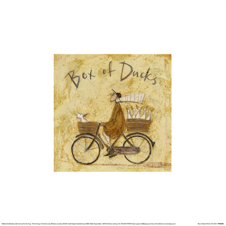 Εκτύπωση τέχνης Sam Toft - Box of Ducks