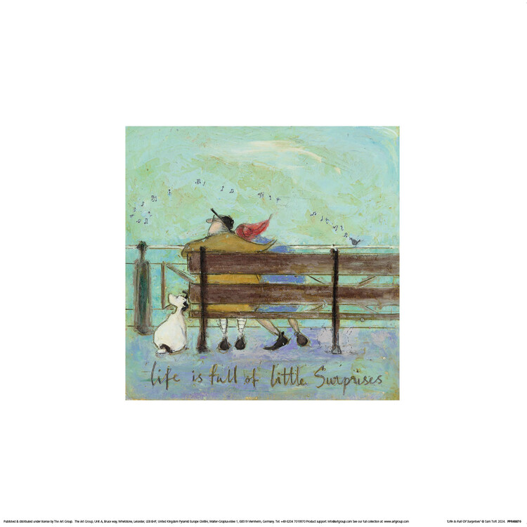 Sam Toft - Life is Full of Surprisesl Картина