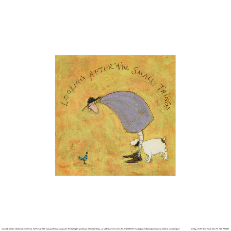 Sam Toft - Looking After The Small Things Картина