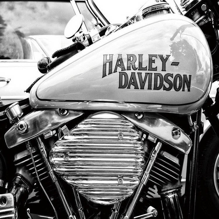 Harley Davidson b&w Steklena slika