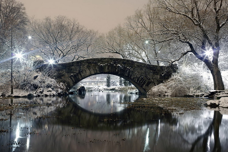 Картина у склі Bridge in Central Park, New York