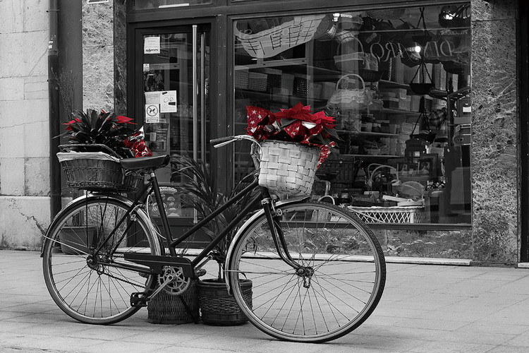Картина у склі Old Bicycle - Red Flowers