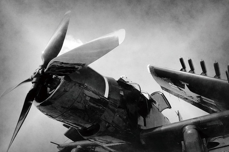 Γυάλινη τέχνη Plane - Black and White Screw