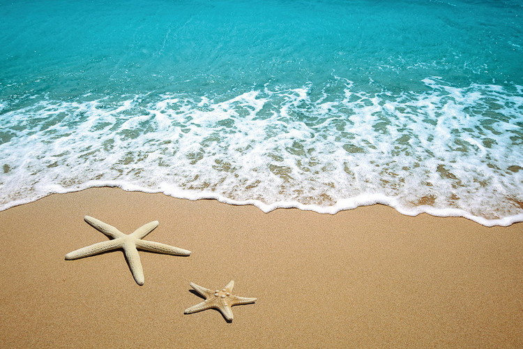 Картина у склі Sea - Stars in the Sand