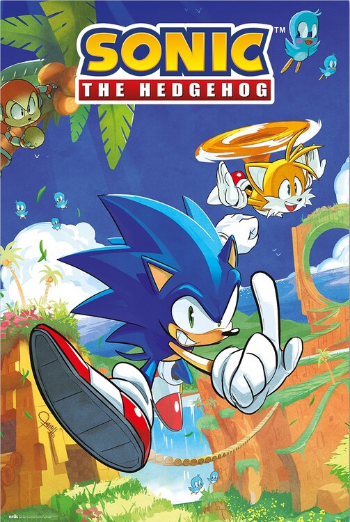 Плакат Sonic the Hedgegog - Sonic & Tails