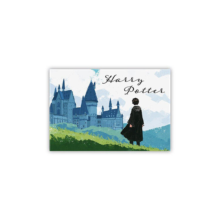 Μαγνητάκι Harry Potter - Harry & Hogwarts