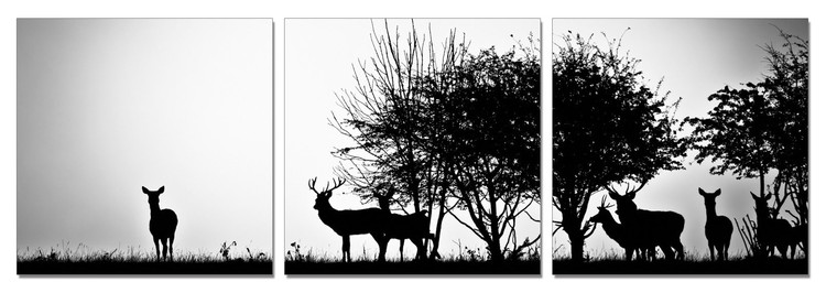 Forest Life - Silhouettes Mounted Art Print