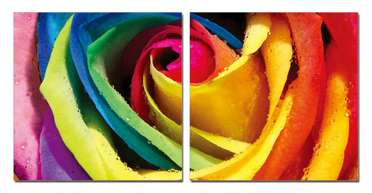 Rainbow Roses Mounted Art Print