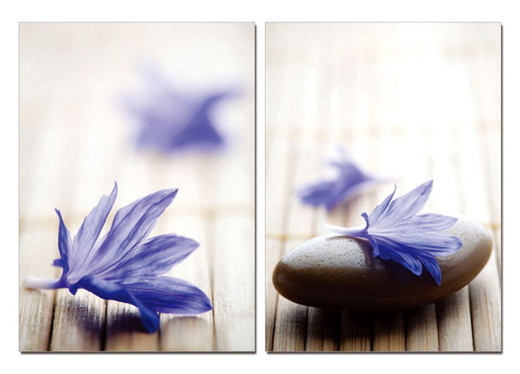 Zen - Blue Blossom Mounted Art Print