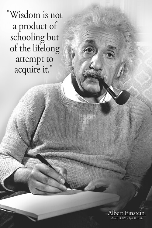 Poster Albert Einstein - citações e sabedoria