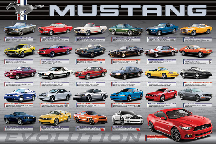 Плакат Ford Mustang Evolution 50th Ls