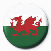 Badge FLAG - WALES