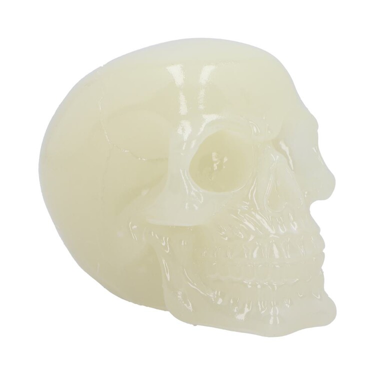 Φιγούρα Phosphorescent Glow in the Dark