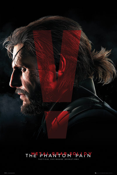 MGS V
