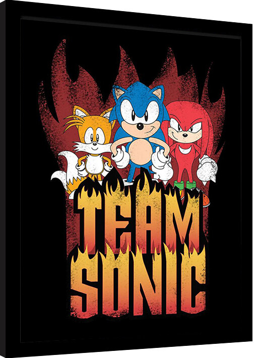 Poster emoldurado Sonic the Hedgehog - Team Sonic