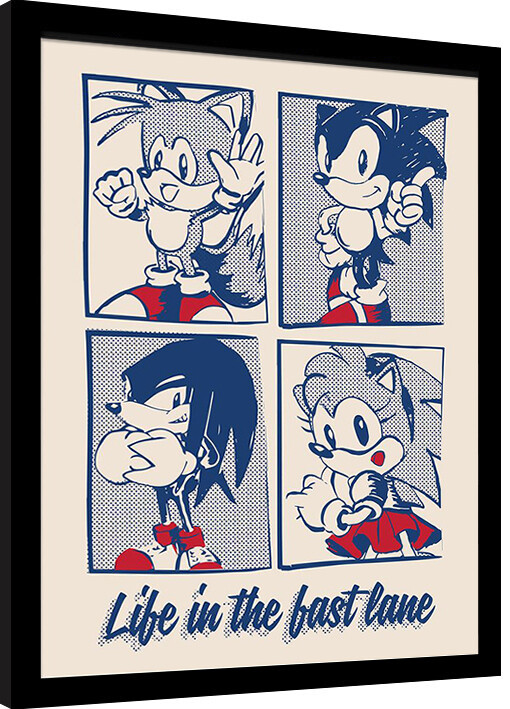 Κορνιζαρισμένη αφίσα Sonic the Hedgehog - Life in the Best Lane