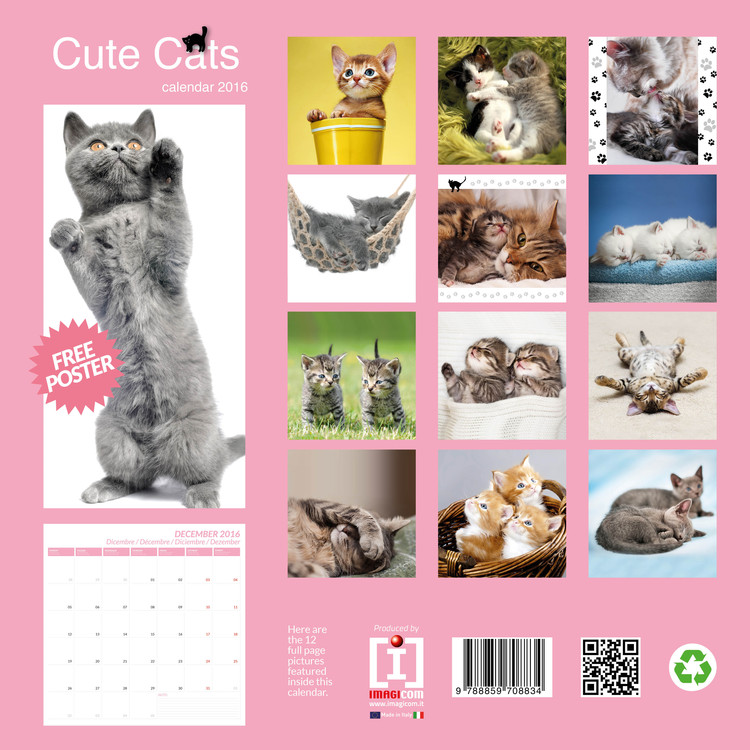 Cute Cats Calendars 2018 on