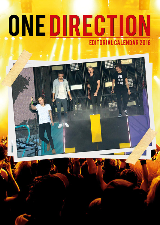 Ημερολόγιο 2027 One Direction 1D