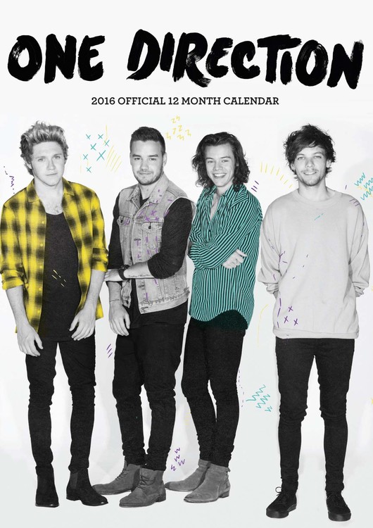 Koledar 2027 One Direction 1D