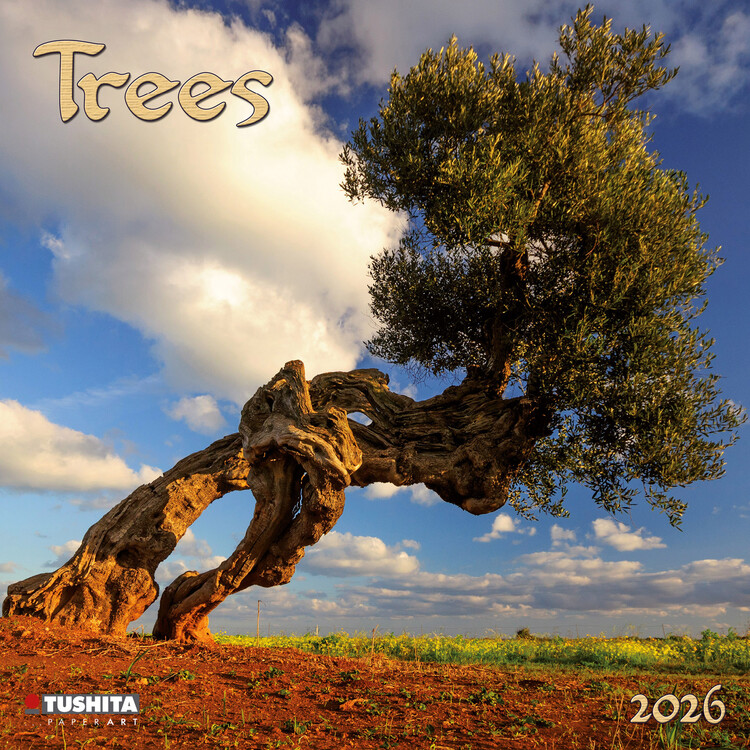 Kalenteri 2027 Trees