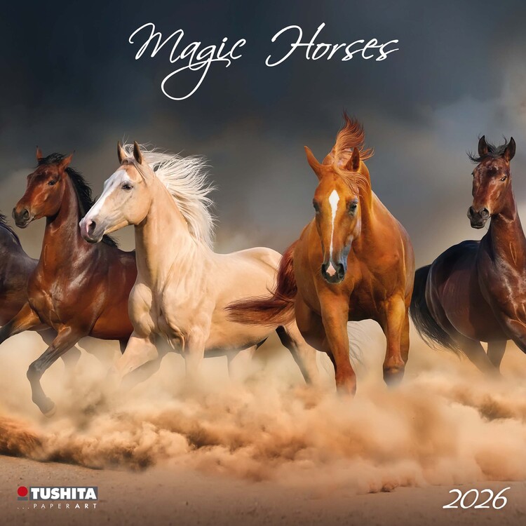 Calendar 2027 Magic Horses