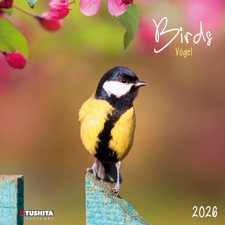 Ημερολόγιο 2027 Birds