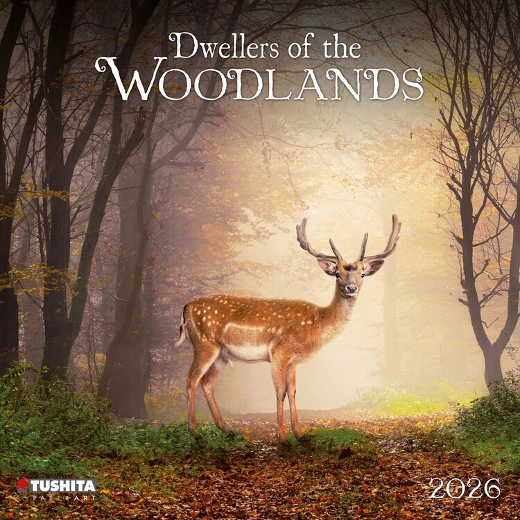 Календар 2027 Dwellers of the Woodlands