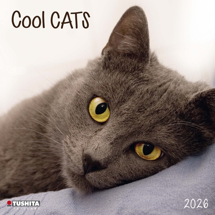 Calendar 2027 Cool Cats