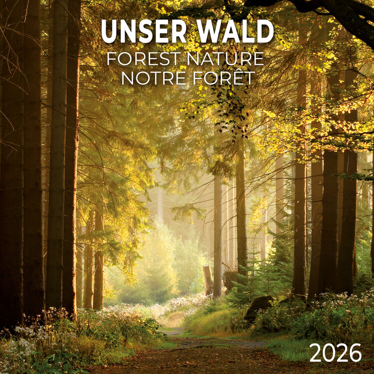 Kalendar 2027 Forest Nature