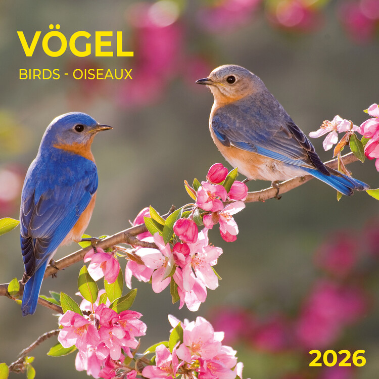 Kalenteri 2027 Birds