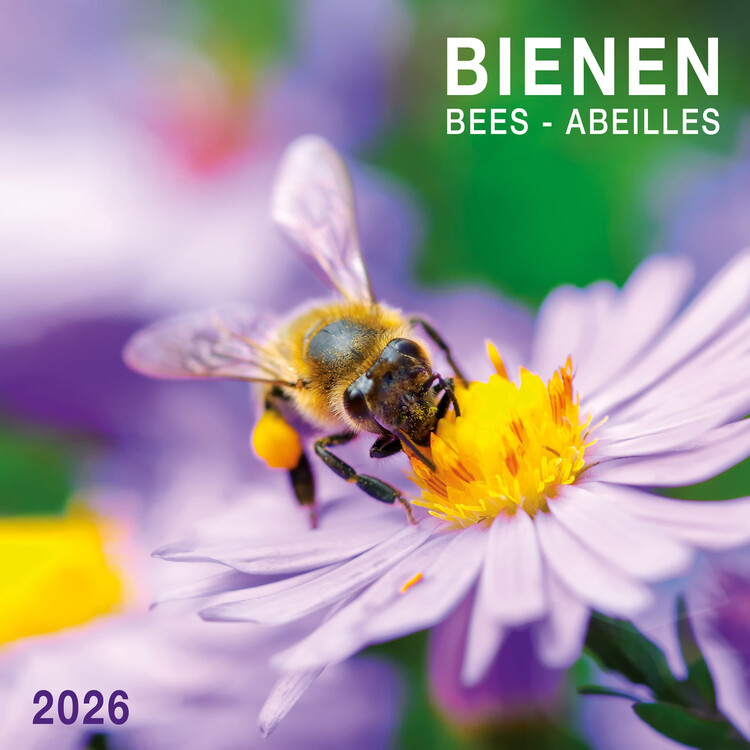 Calendar 2027 Bees