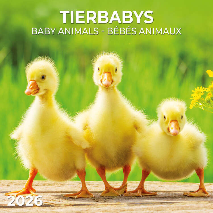 Календар 2027 Baby Animals
