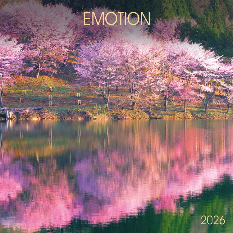 Calendar 2027 Emotion