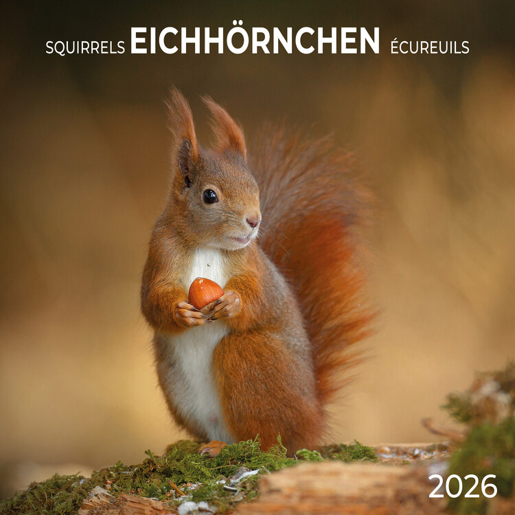 Koledar 2027 Squirrels