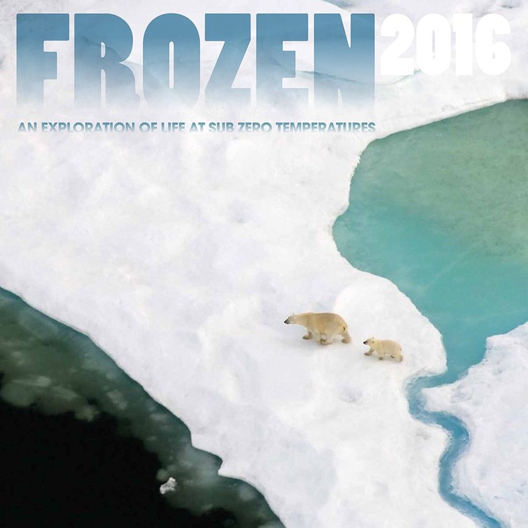 Ημερολόγιο 2027 Frozen